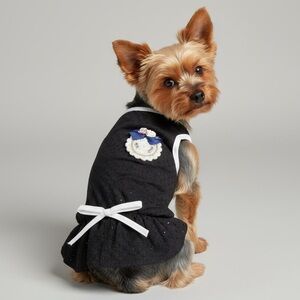 Black Stretch Eyelet Fancy Dress